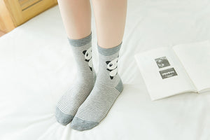 Cute Animals and a Panda socks (5 Pairs)